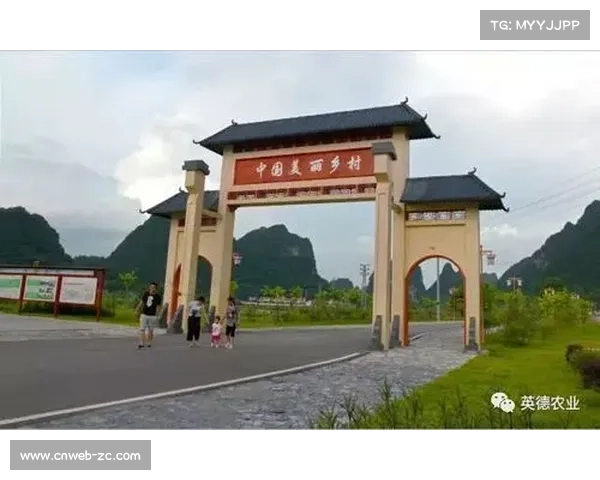 平湖市林埭镇入选中国美丽休闲乡村，棒球产业助推乡村振兴